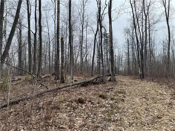 Hayward, WI 54843,11187N Blue Heron Lane