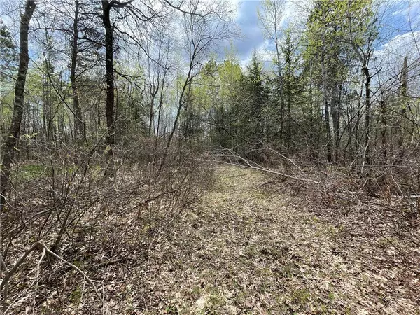 Hayward, WI 54843,Lot 15 Cassandra Road