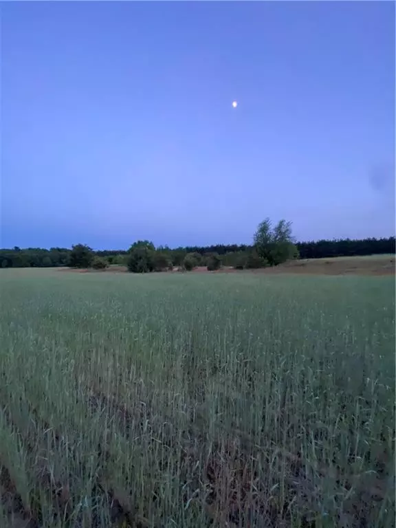 Osseo, WI 54758,25 Acres County B