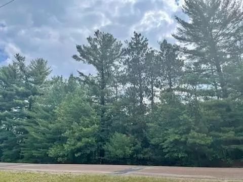 Elk Mound, WI 54739,Lot 1 890th Street