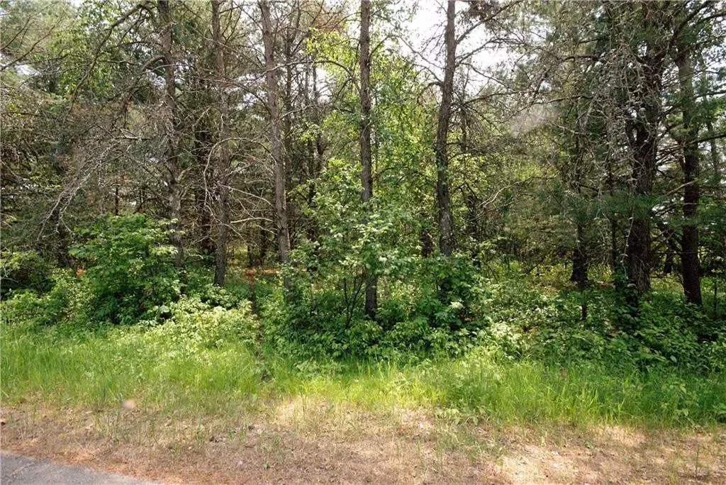 Springbrook, WI 54875,Lot 1 W Winton Road