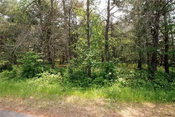 Lot 1 W Winton Road, Springbrook, WI 54875