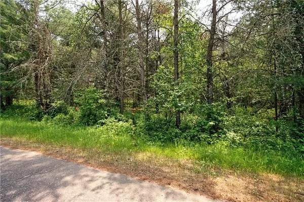 Springbrook, WI 54875,Lot 1 W Winton Road