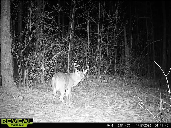 Stone Lake, WI 54876,189 acres Edgewood Drive