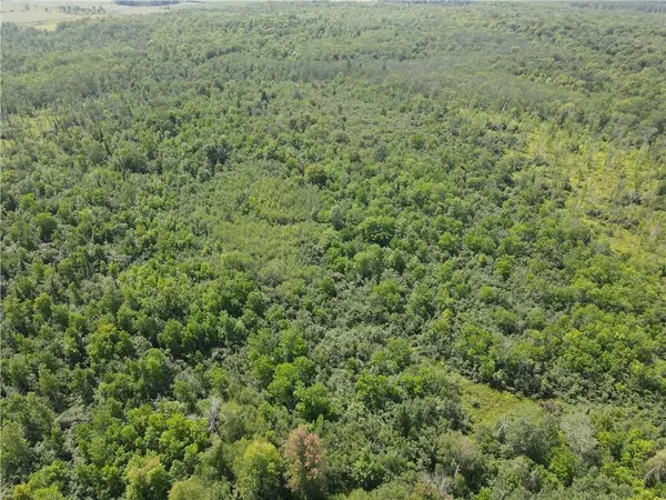 Catawba, WI 54515,90.03 Acres Pass Road