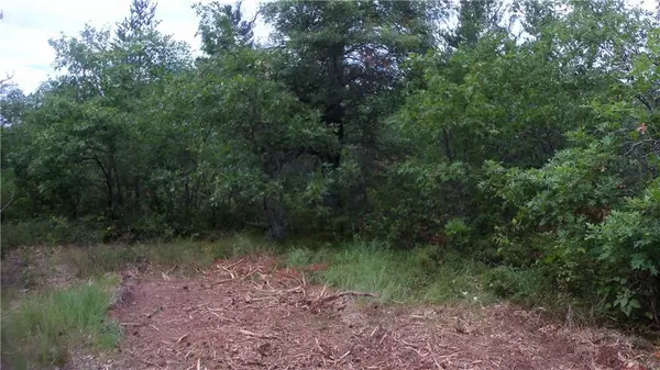 Minong, WI 54859,LOT 9 OSTROM RD