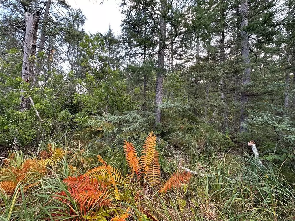 Minong, WI 54859,0 Highway 77