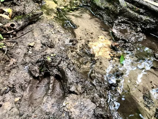 Nelson, WI 54756,XX48 Markey Bluff Road