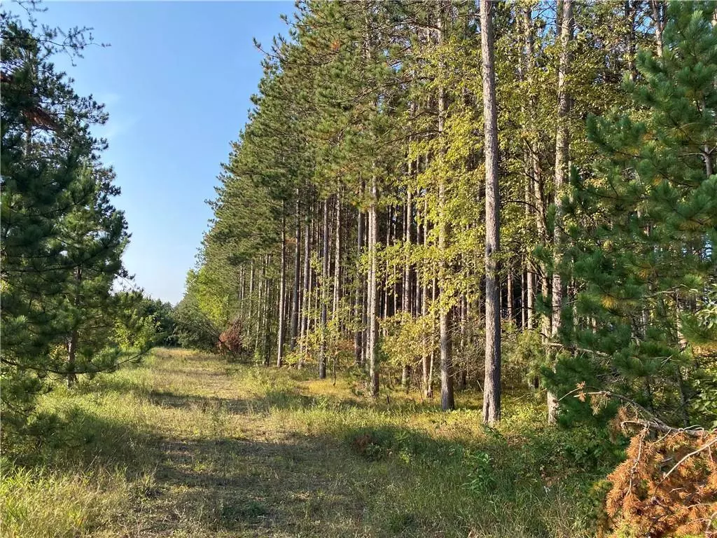 Hayward, WI 54843,Lot 2 Jenny Lane