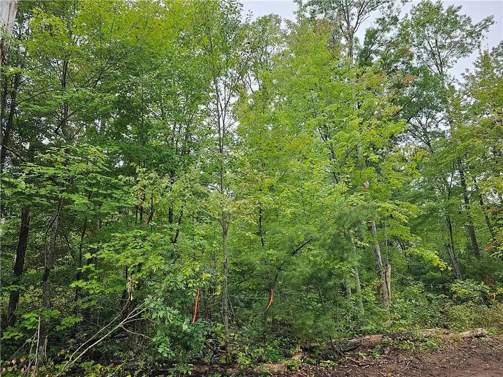 Webster, WI 54893,Lot 6 Maria's Way