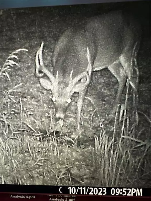 Elk Mound, WI 54739