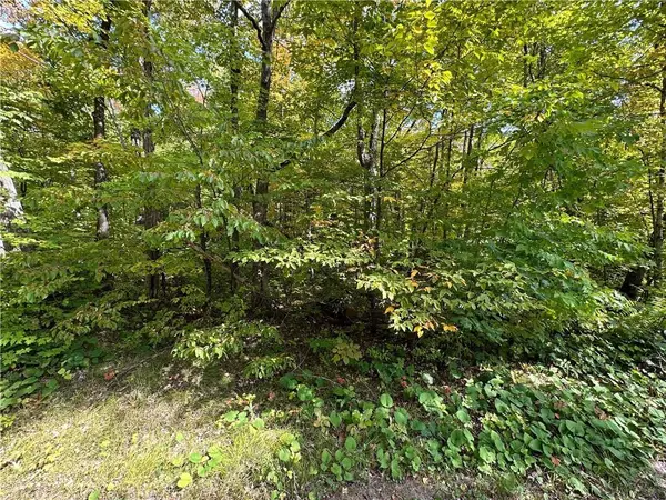 Stone Lake, WI 54876,Lot 24 off Maiden Lane