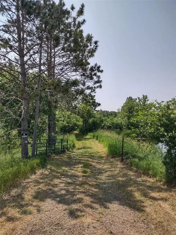 Almena, WI 54805,XXXX US Hwy 8