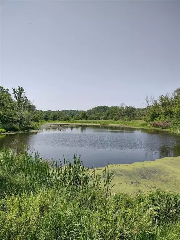 Almena, WI 54805,XXXX US Hwy 8