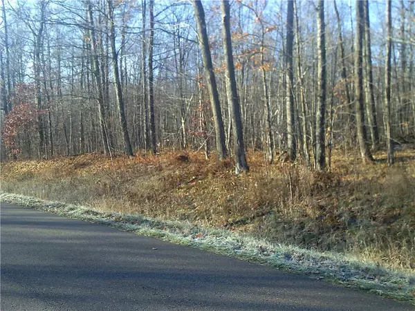 Spooner, WI 54801,XX Wildcat Road