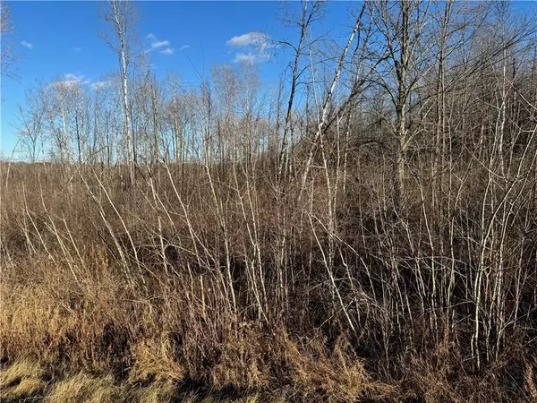 Ojibwa, WI 54862,30 acres on State Hwy 27