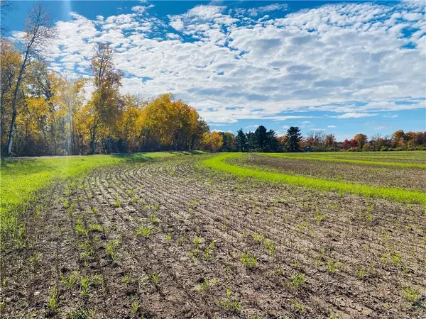 25 Acres 27 1/2 Ave, Rice Lake, WI 54868