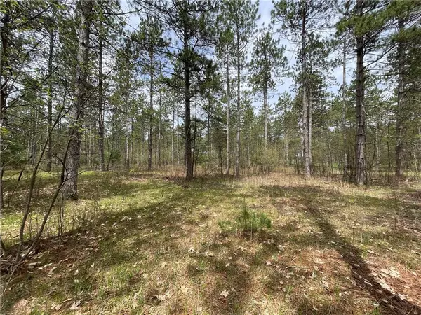 Hayward, WI 54843,Lot 1 Elaine Drive