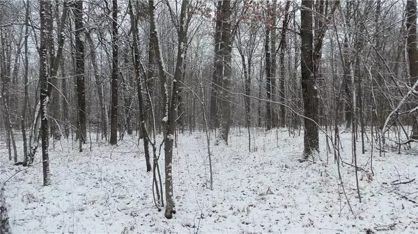 Trego, WI 54888,LOT 1 BLACKBERRY RD