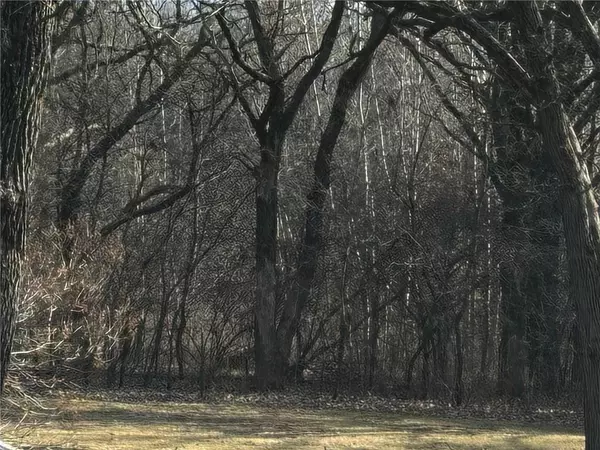 Osseo, WI 54758,0 Alvestad Road