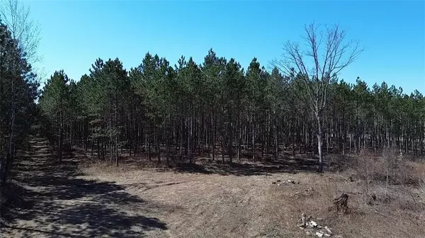 Springbrook, WI 54875,N/A County Highway A