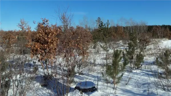 Lots 11&12 Pine Tree Trail, Springbrook, WI 54875