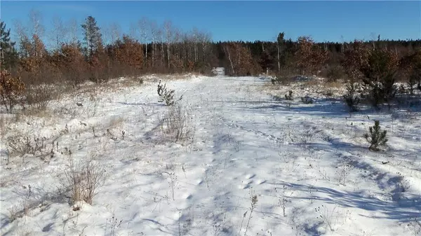 Springbrook, WI 54875,Lots 11&12 Pine Tree Trail