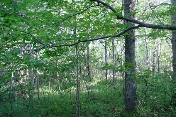 Ladysmith, WI 54848,40 Acres Fedyn Road