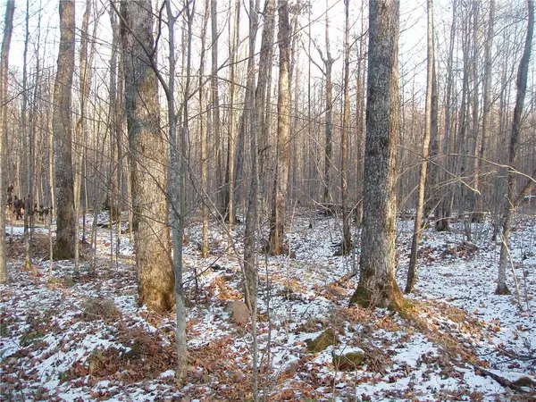 Butternut, WI 54514,73723 Bear Lake Road