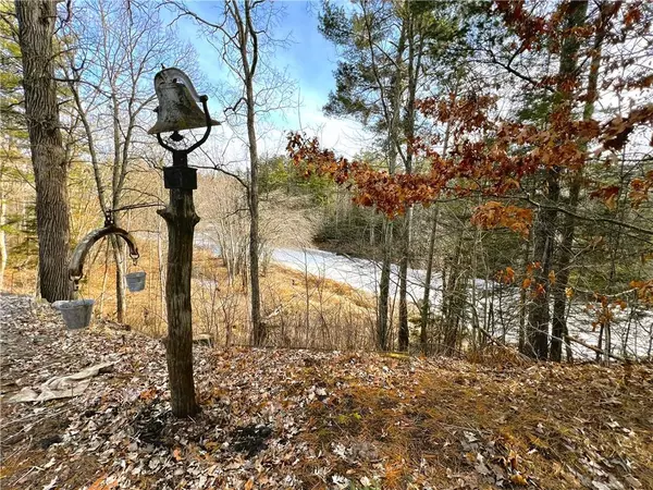 Ladysmith, WI 54848,N5402 Thornapple Road