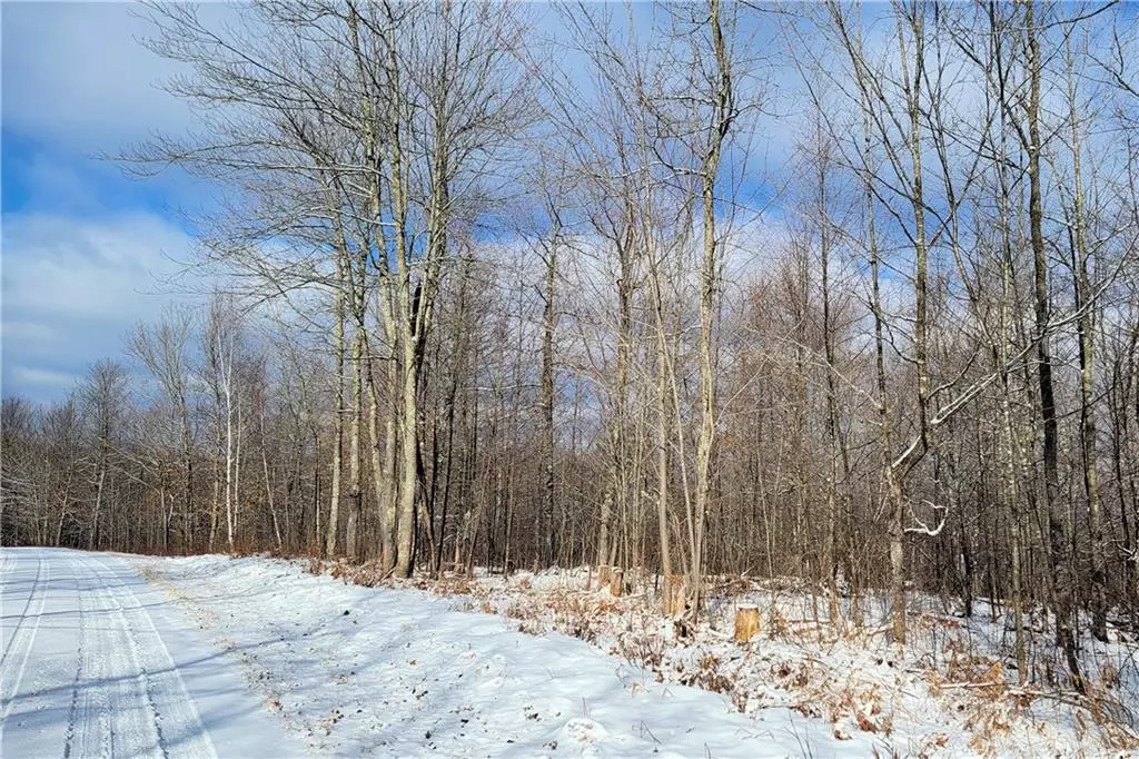 Cable, WI 54821,Lot 29 Woodcrest Drive