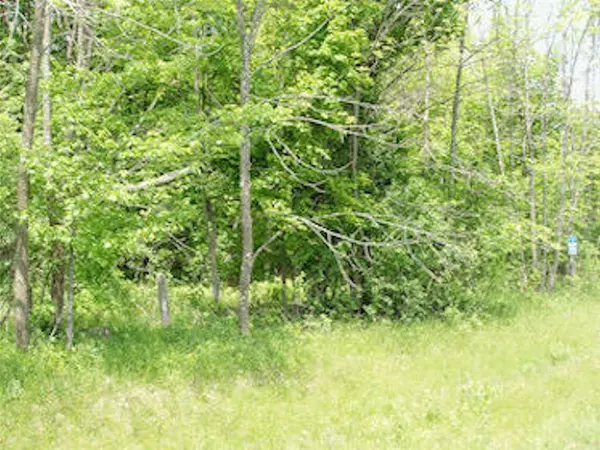 Park Falls, WI 54552,Lot 13 On Margaret Lane