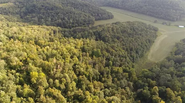 0 Center Creek Road, Nelson, WI 54756