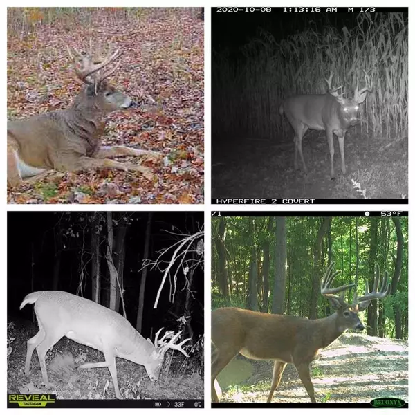 Fall Creek, WI 54742,0 Markgraff Road