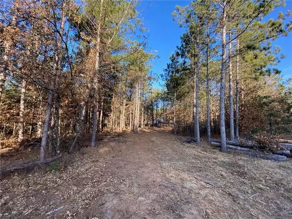 Gordon, WI 54838,14163 S Blackberry Lane