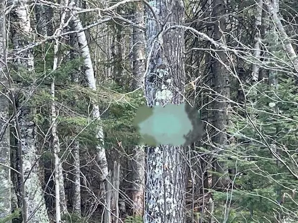 0 Highway 13, Cornucopia, WI 54827