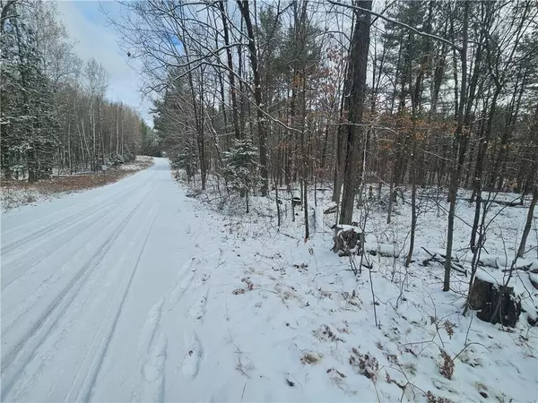 Springbrook, WI 54875,LOT 0 COUNTY HWY E