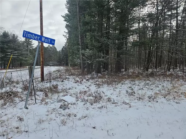 LOT 0 COUNTY HWY E, Springbrook, WI 54875