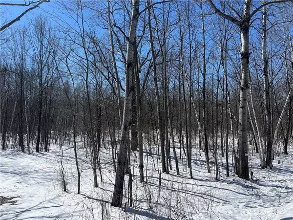 0 10th Avenue, Fall Creek, WI 54742