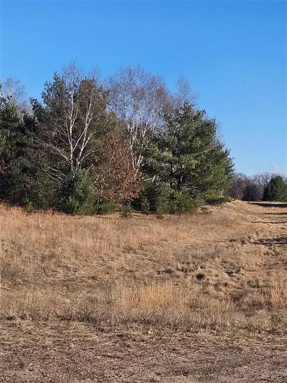 Spooner, WI 54801,HWY A Oaks of Rocky Ridge Lot 17