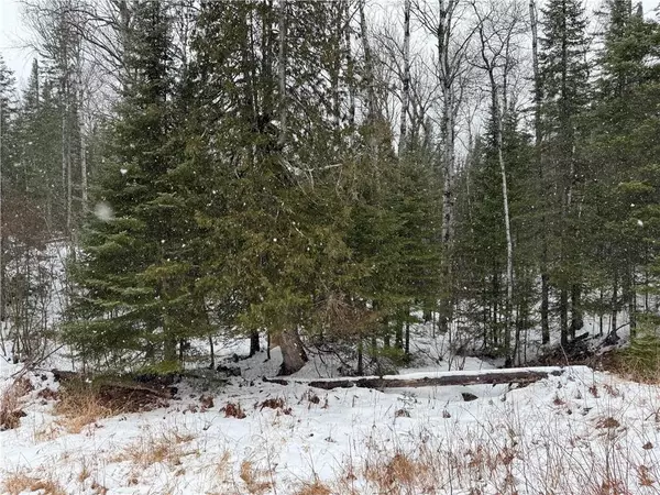 Port Wing, WI 54865,5 acres on Severson Road