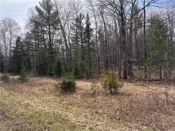 Hayward, WI 54843,Lot 0 Hwy 77