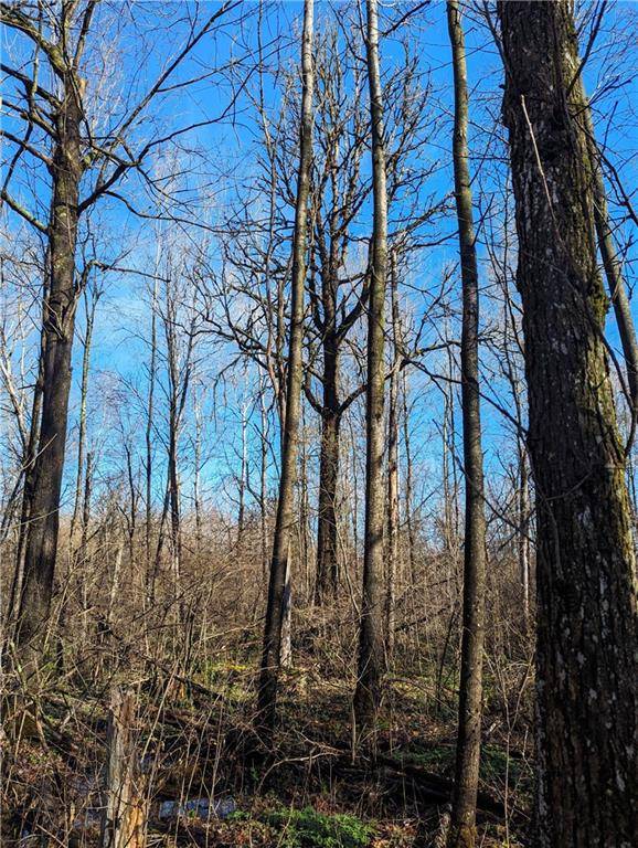 00 CTH O, Catawba, WI 54515