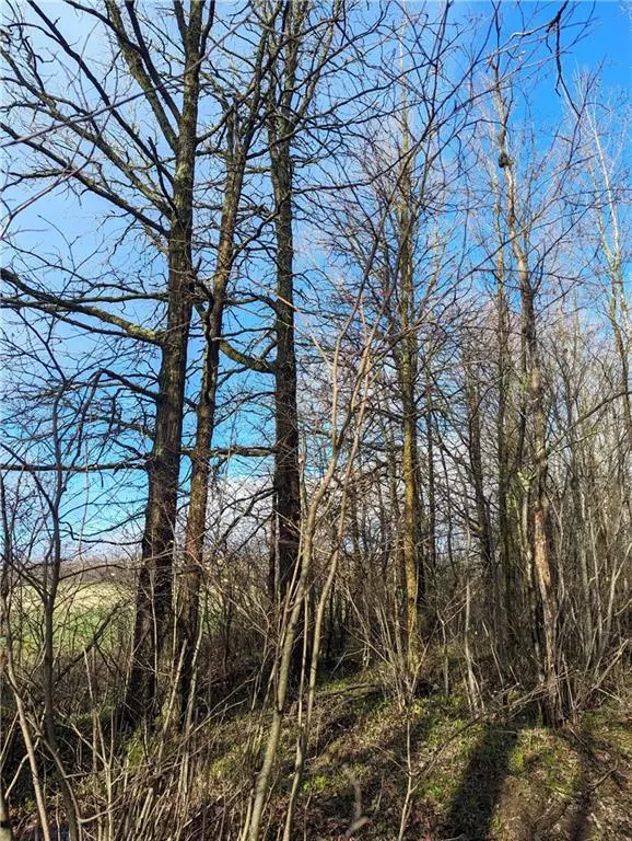 Catawba, WI 54515,00 CTH O