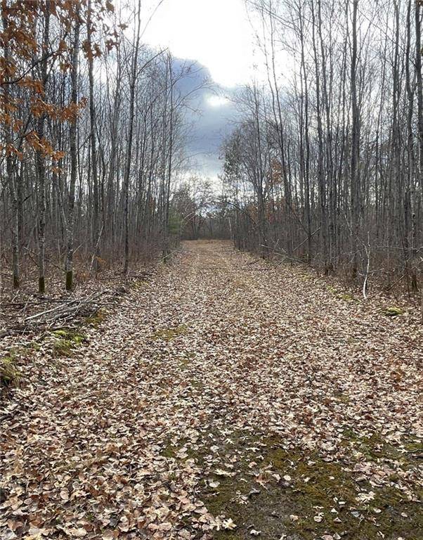 0 Airport Road, Springbrook, WI 54875