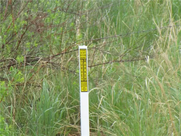 Withee, WI 54498,000 County Road T