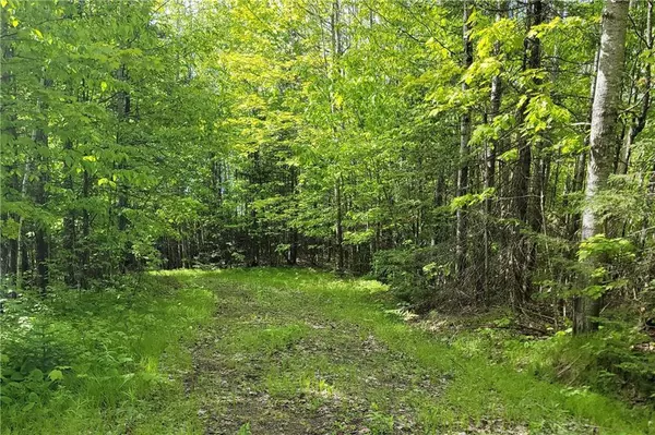 Drummond, WI 54832,50290 Blue Moon Road