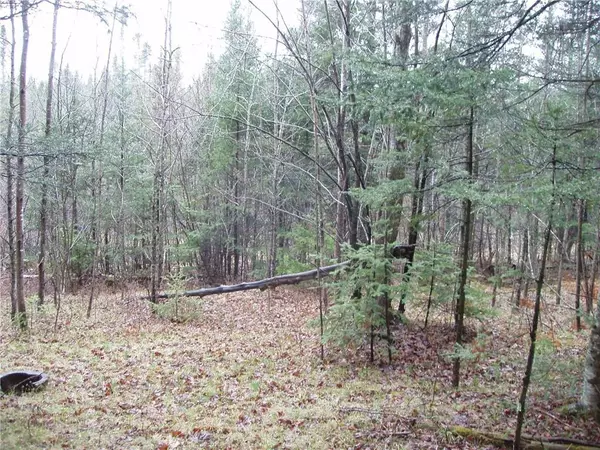 Glidden, WI 54527,14.6+/- Acres On Eder Road