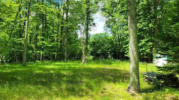 Birchwood, WI 54817,2671 28 1/8 Street