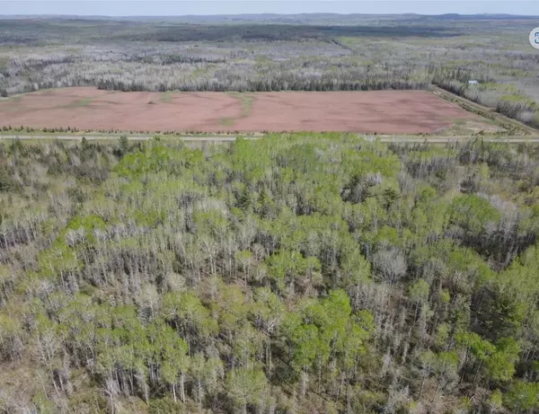 Iron River, WI 54847,TBD County Road A